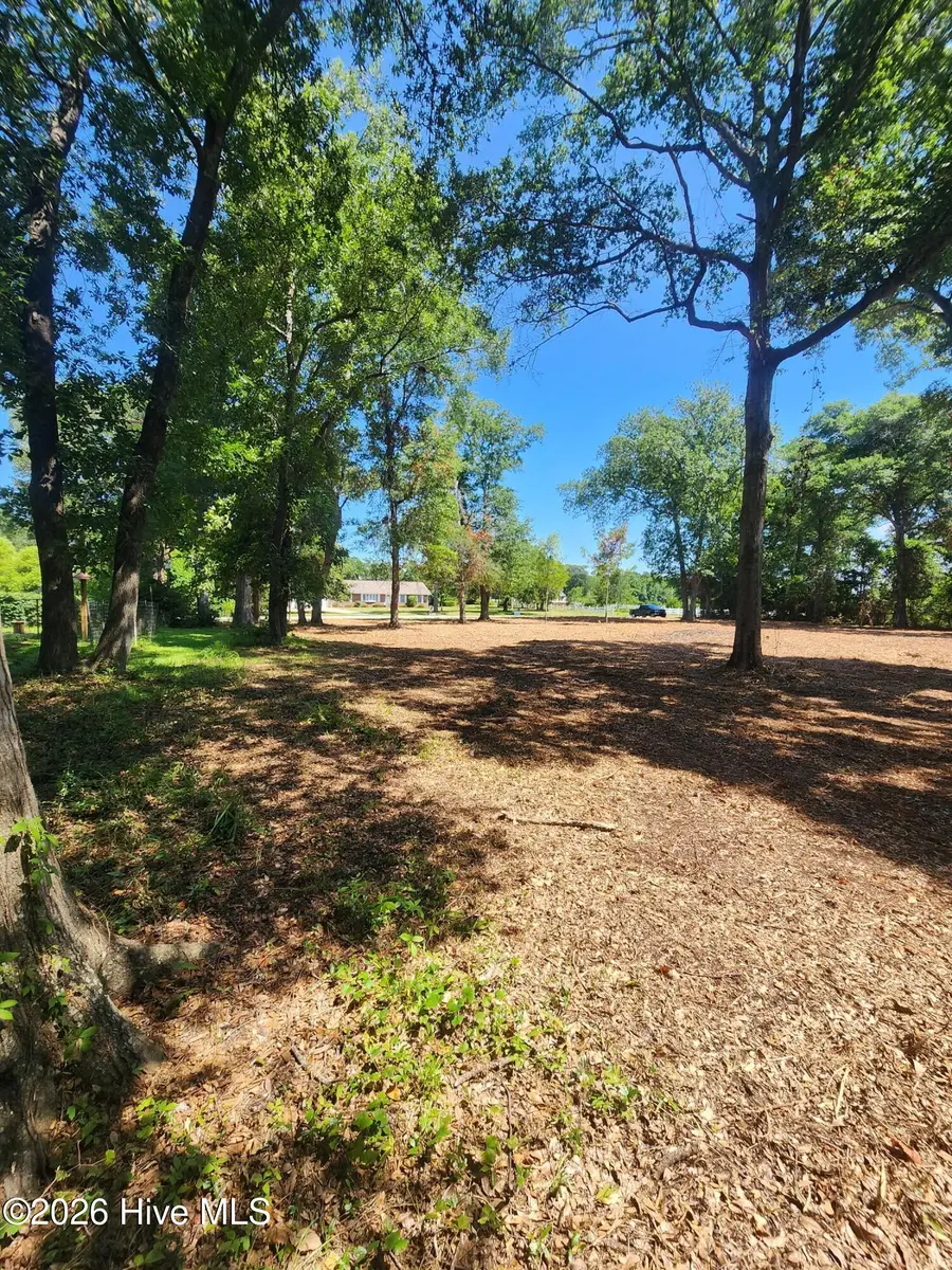 102 Deer Run, Hubert, NC 28539 - #3