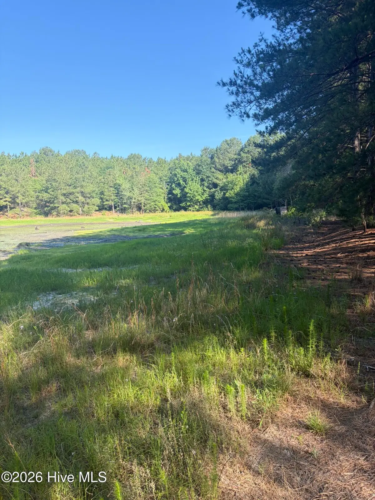 Tbd Jones Spring Church Road, Ellerbe, NC 28338 - #1