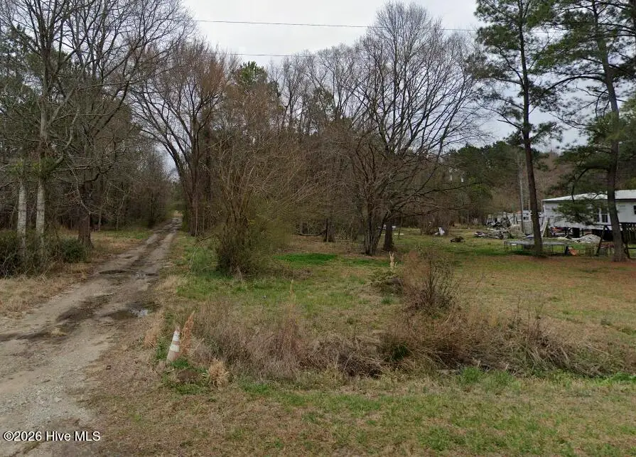 0000 Willard Road, Willard, NC 28478 - #1