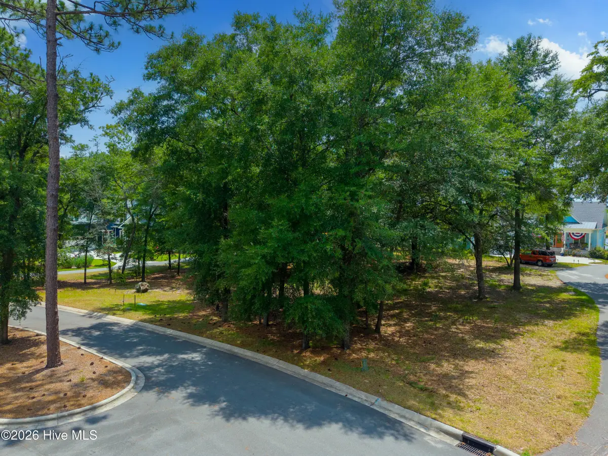 3627 White Cliffs Drive, Castle Hayne, NC 28429 - #1