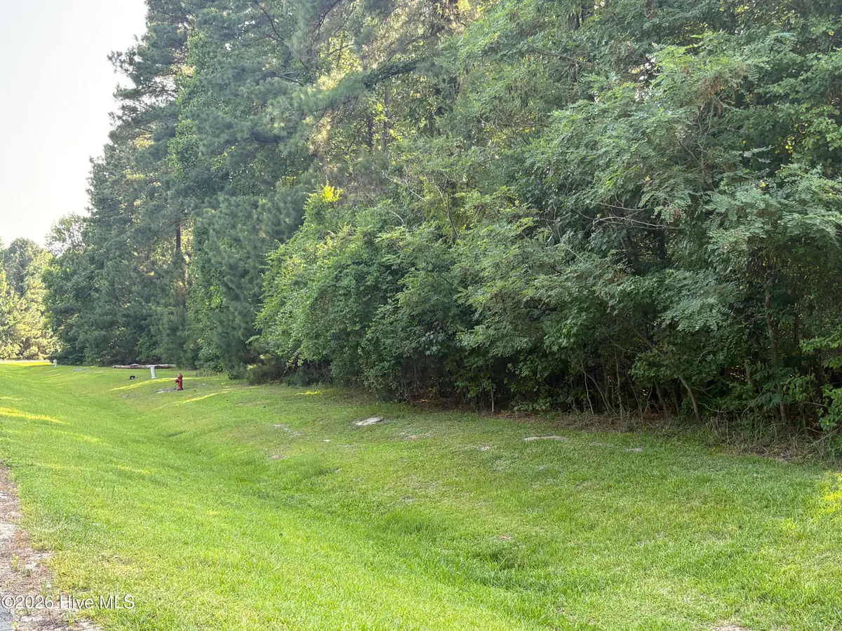 519 Riversound Drive, Edenton, NC 27932 - #1