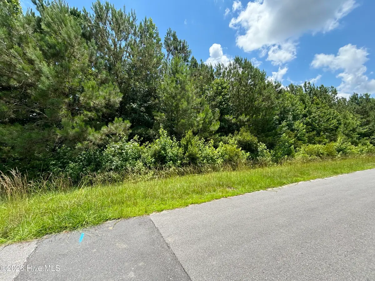 0 Progress Drive, Burgaw, NC 28425 - #1
