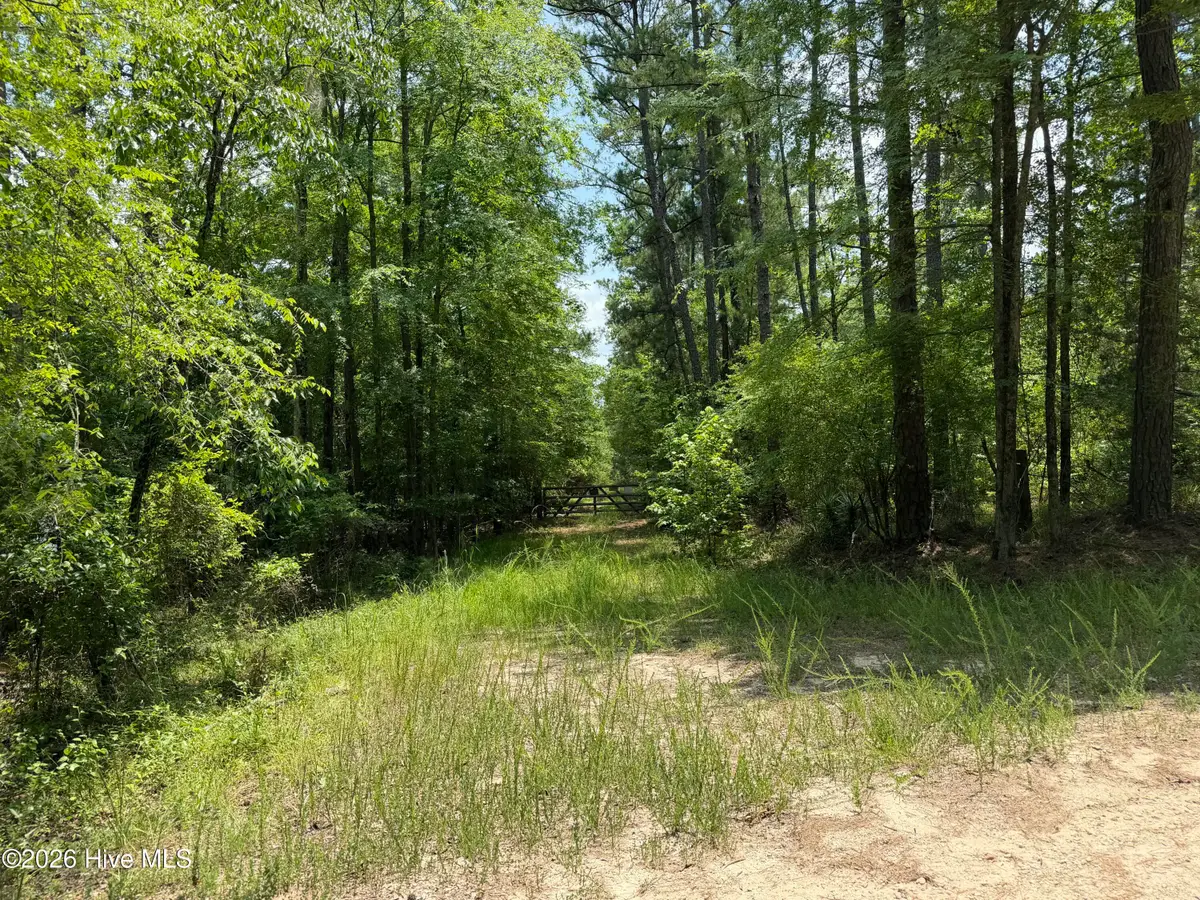 0 Burks Mountain Road, Appling, GA 30802 - #1