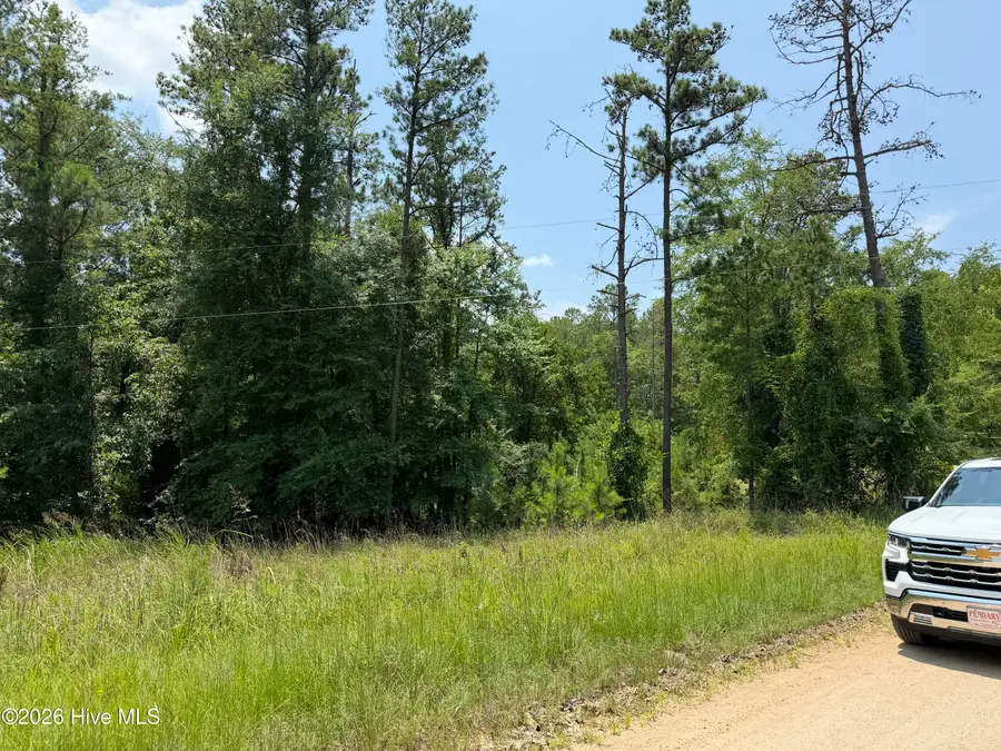 0 Burks Mountain Road, Appling, GA 30802 - #2
