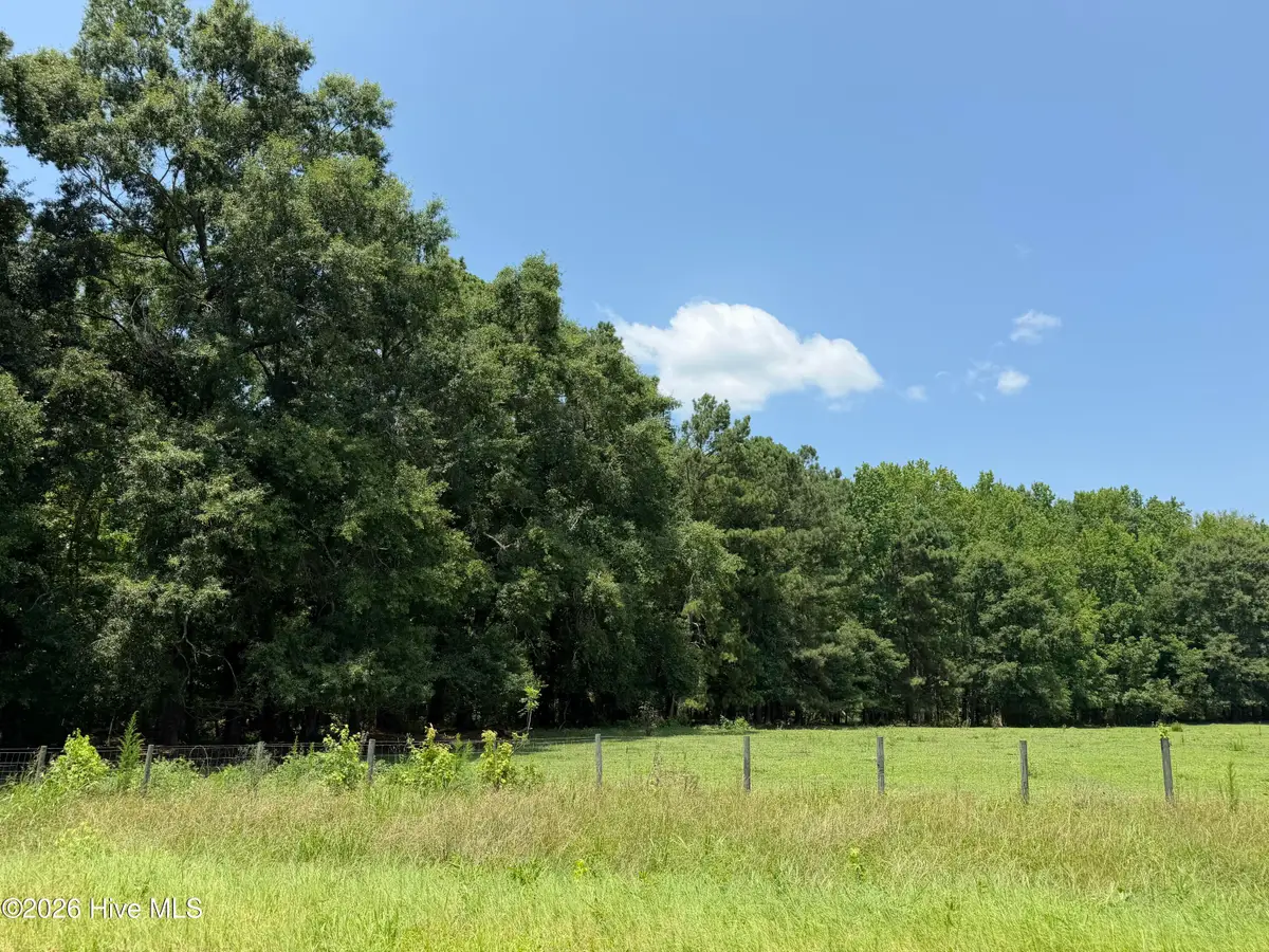 6925 Cobbham Road, Appling, GA 30802 - #1