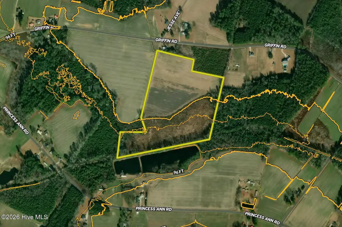 651 Griffin Road, Chadbourn, NC 28431 - #1