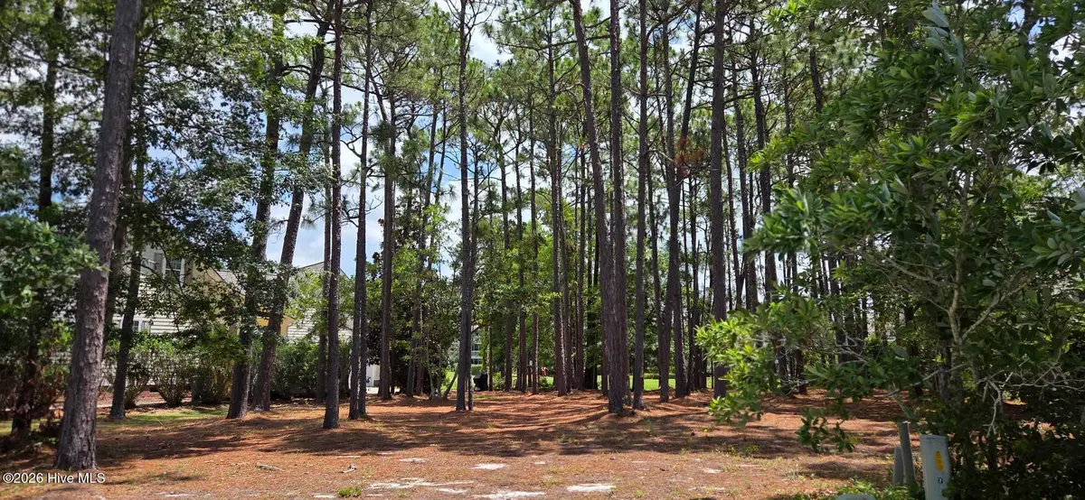 3451 Haskell Lane Se, Southport, NC 28461 - #1