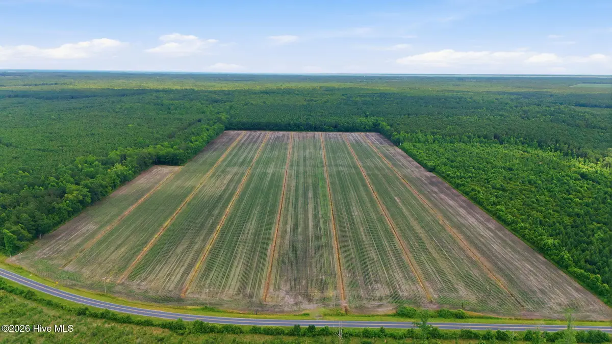 N/A Florence Road, Merritt, NC 28556 - #1
