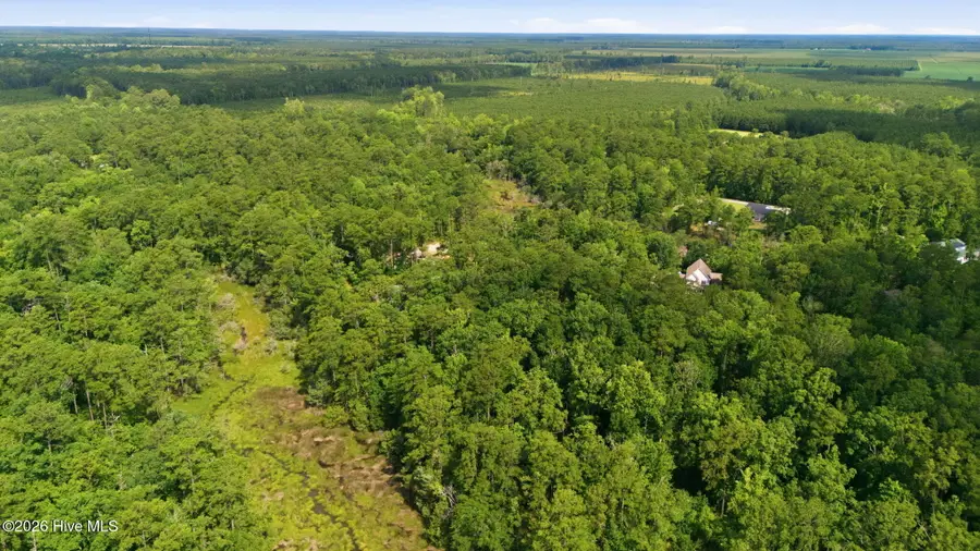 170 Winding Creek Drive, Oriental, NC 28571 - #2