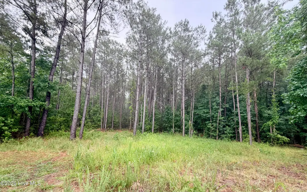 Tract F Us 421 Highway N, Currie, NC 28435 - #1