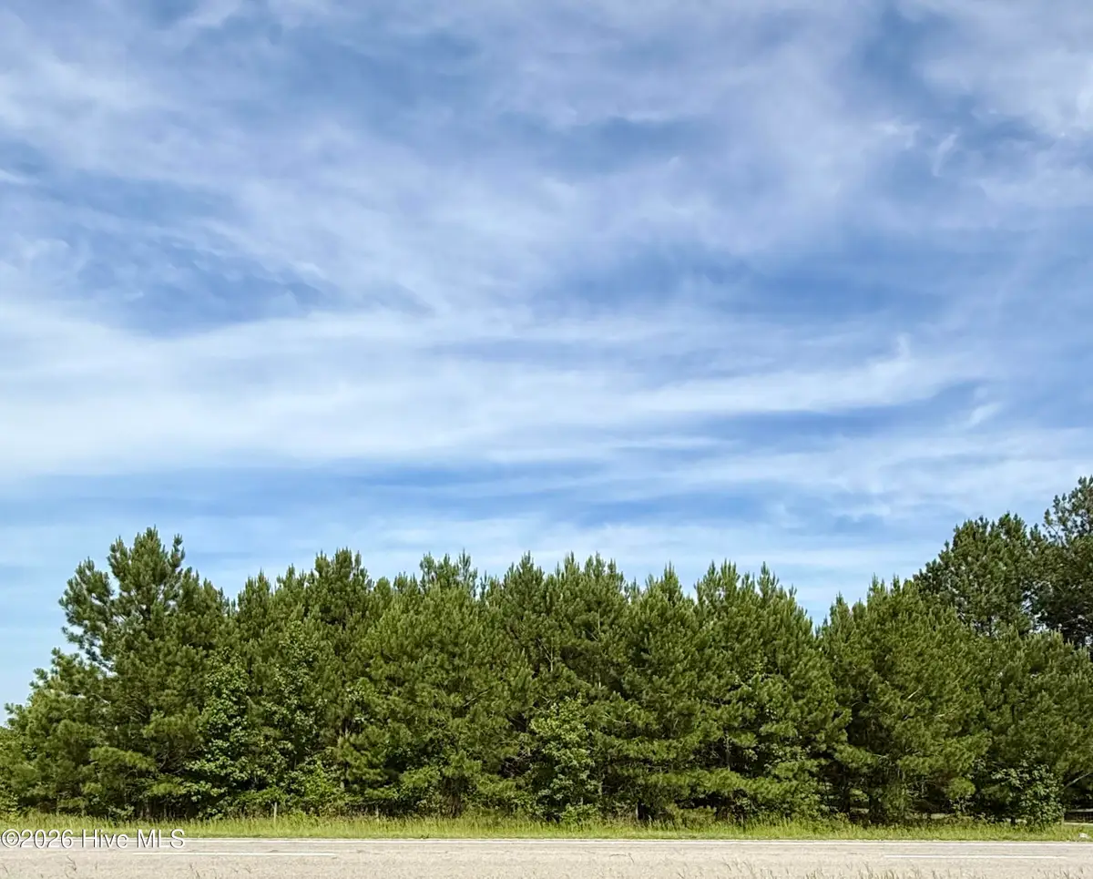 Lot 3 Us 17 N, Washington, NC 27889 - #1