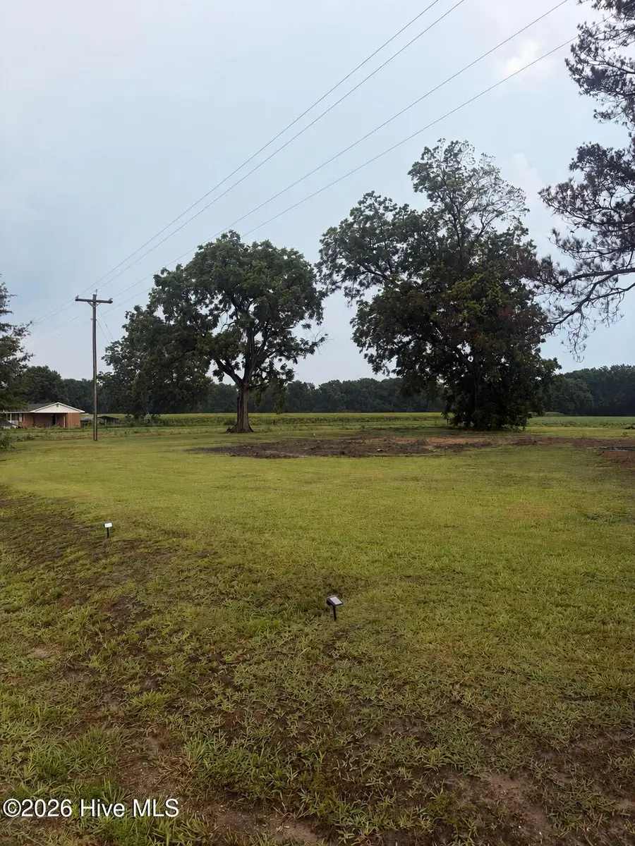 315 Flowers Road, Mount Olive, NC 28365 - #3