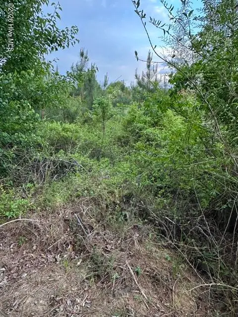 000 Duke Road, Castalia, NC 27816 - #1