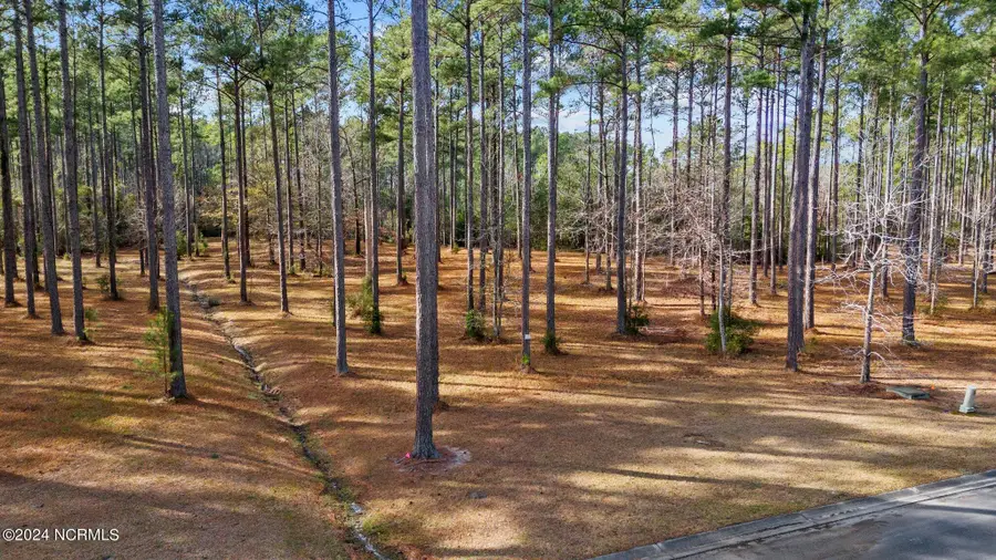 137 Ocracoke Drive, Oriental, NC 28571 - #2
