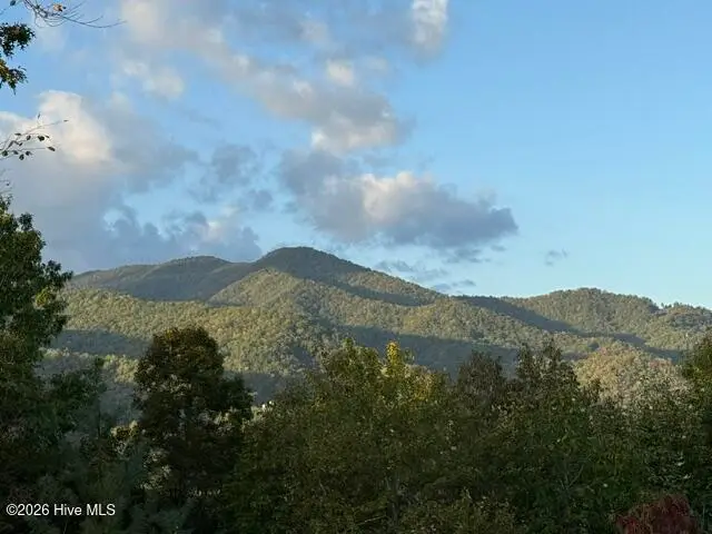 Lot 5 Downings Creek Road, Hayesville, NC 28904 - #3