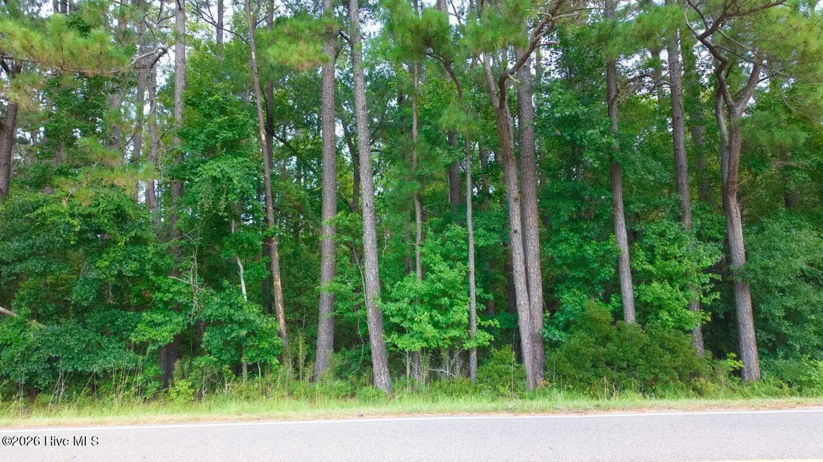 0000 Near 855 Furnie Hamm Road, Clarendon, NC 28432 - #1