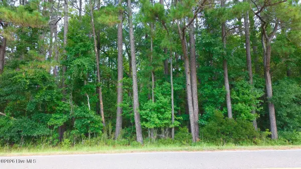 0000 Near 855 Furnie Hamm Road, Clarendon, NC 28432