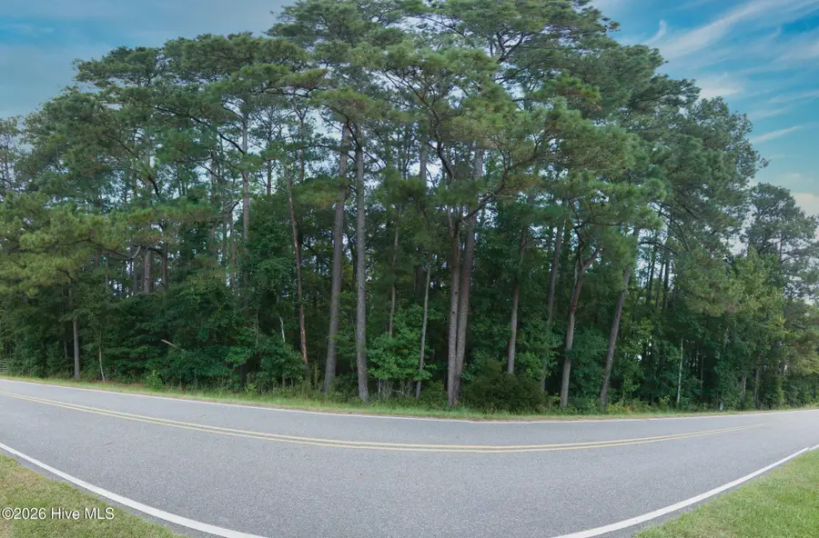 0000 Near 855 Furnie Hamm Road, Clarendon, NC 28432 - #3