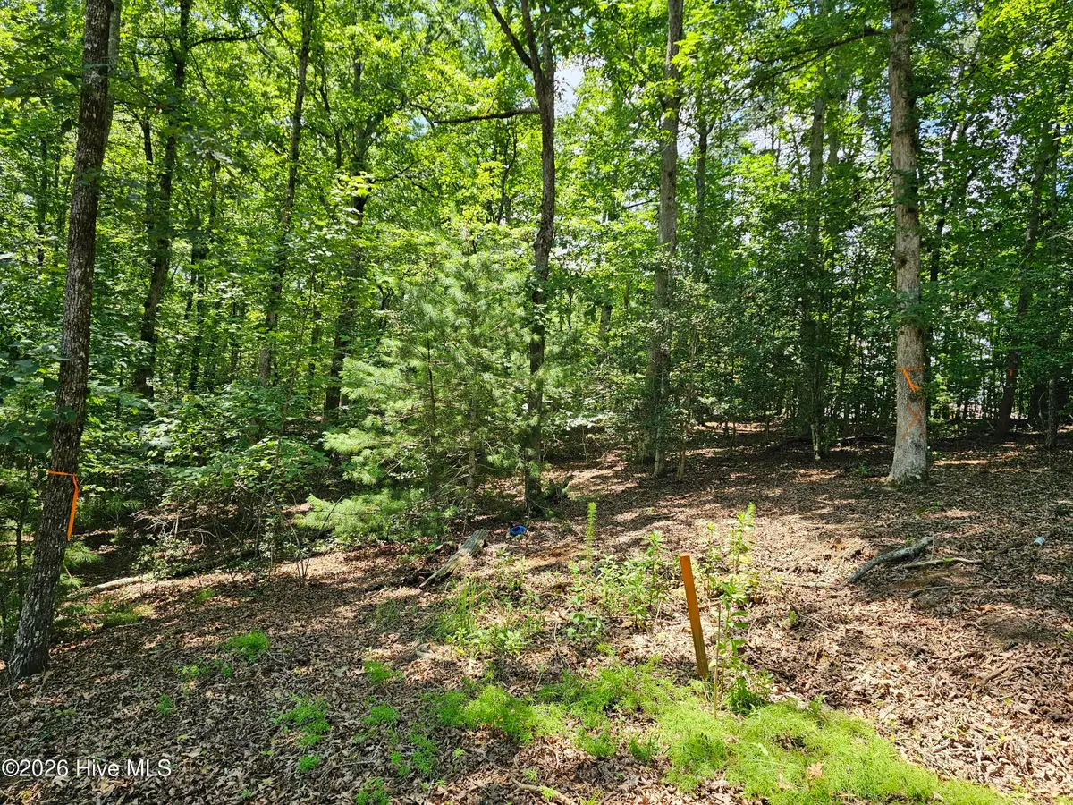 Lot 10 Bobcat Lane, Murphy, NC 28906 - #1