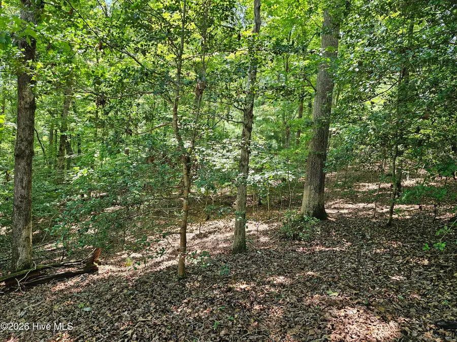 Lot 10 Bobcat Lane, Murphy, NC 28906 - #3
