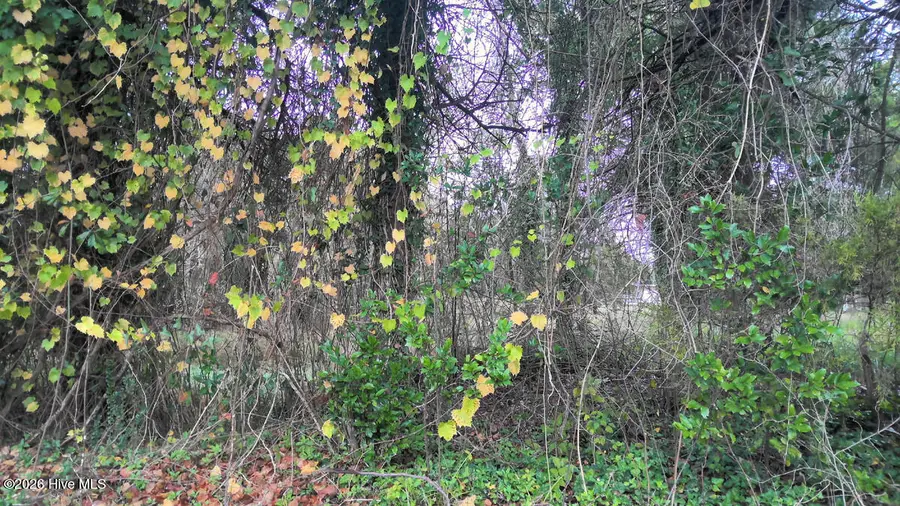 0.50ac Ok Street, Kinston, NC 28504 - #2