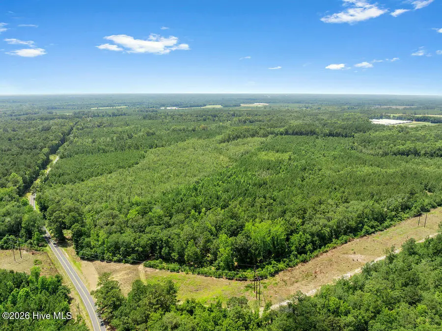 Na Burney Road, White Oak, NC 28399 - #3
