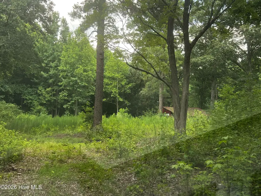 0 Davenport Country Lane, Tarboro, NC 27886 - #3