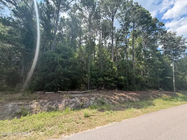 233 Pages Creek Drive, Wilmington, NC 28411