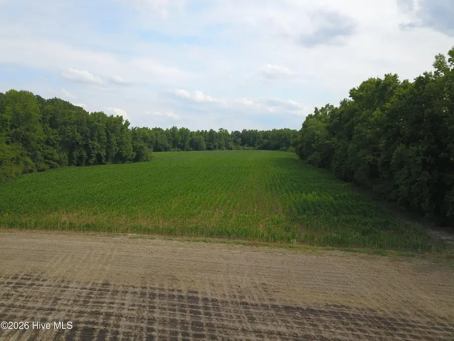 1817 Off S/ Road S, Chinquapin, NC 28521 - #2