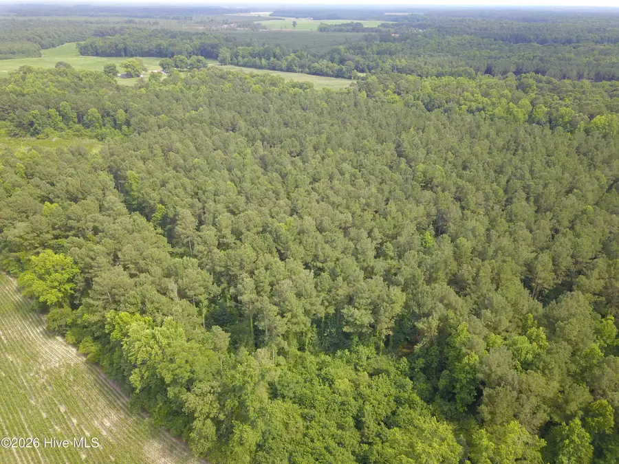 0 Ludie Brown Road, Chinquapin, NC 28521 - #3