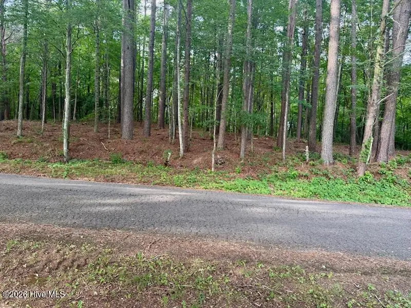 Lot 3 Tennesse 68, Turtletown, TN 37391 - #1