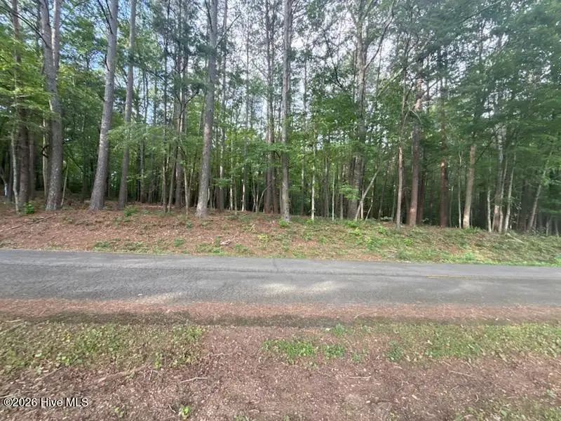 Lot 4 Tn 68, Turtletown, TN 37391 - #1