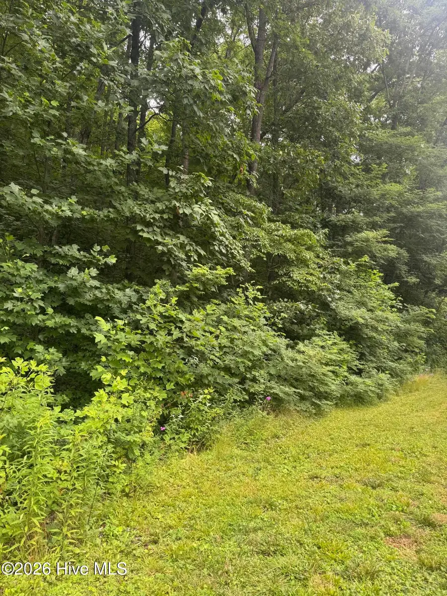 78 Lt 78 Pitch Pine Drive, Sylva, NC 28779 - #3