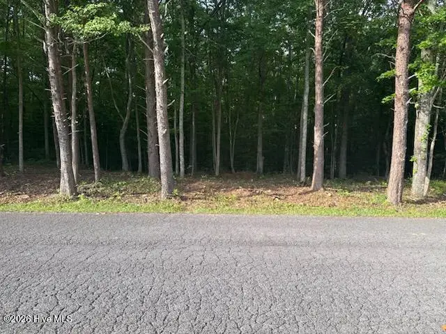 Lot #8 Tennessee 68, Turtletown, TN 37391 - #1