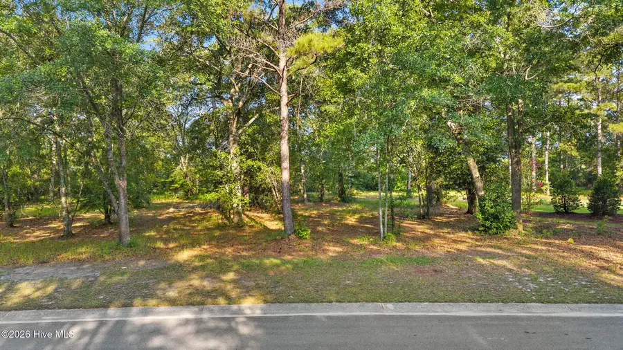 348 River Ridge Drive, Wallace, NC 28466 - #2