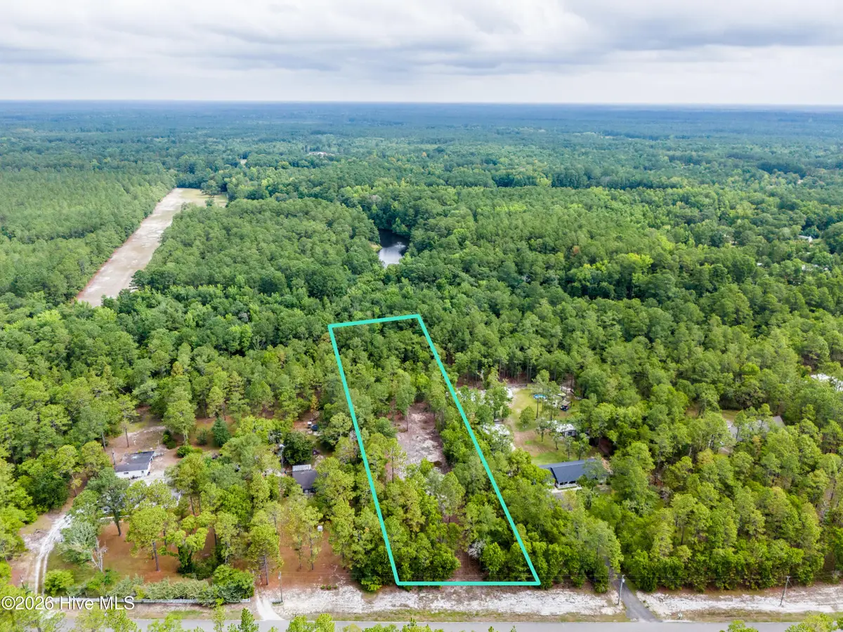 0 Bear Branch Drive, Currie, NC 28435 - #1
