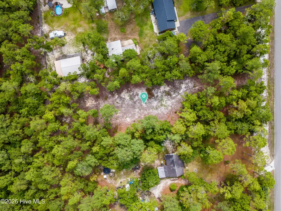 0 Bear Branch Drive, Currie, NC 28435 - #2