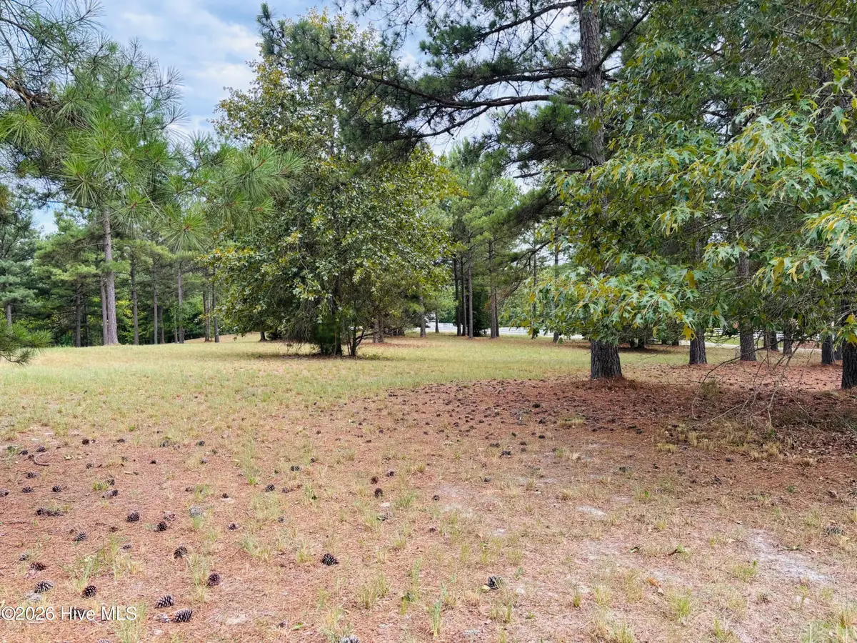 740 Broken Ridge Trail, West End, NC 27376 - #1