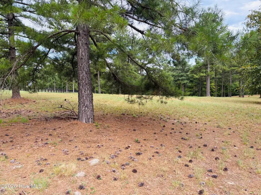 760 Broken Ridge Trail, West End, NC 27376 - #2