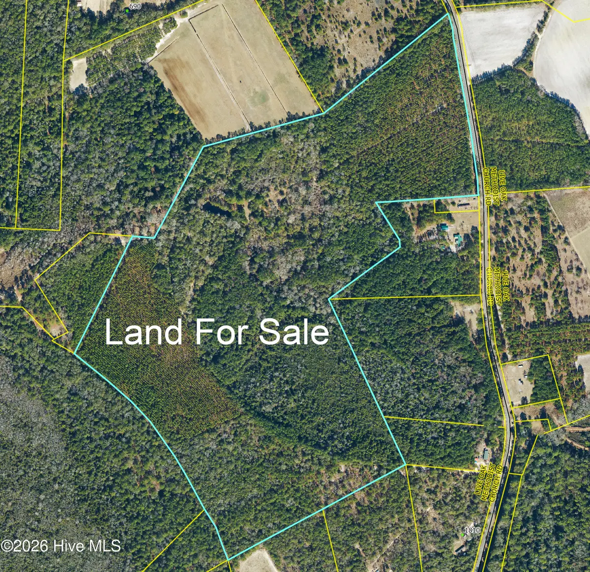 0 Live Oak Methodist Church Road, White Oak, NC 28399 - #1