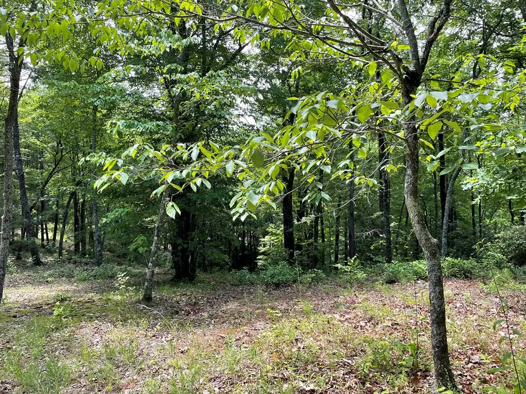 4 Collett Woods Trail, Andrews, NC 28901 - #1