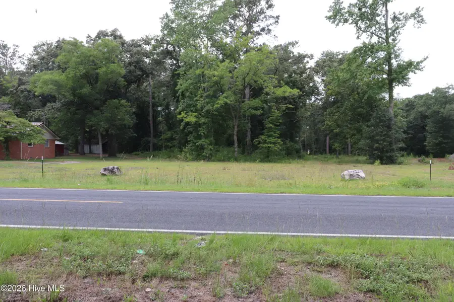 Tbd Hayne Stretch Road Road, Roseboro, NC 28382 - #3