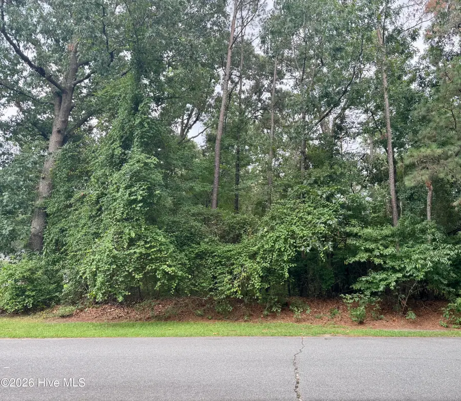 112 Deerborn Drive, Goldsboro, NC 27534 - #2