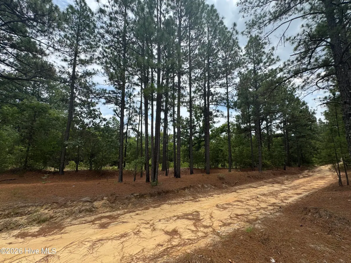 000 Lizzie Jeter Lane, Cameron, NC 28326 - #1