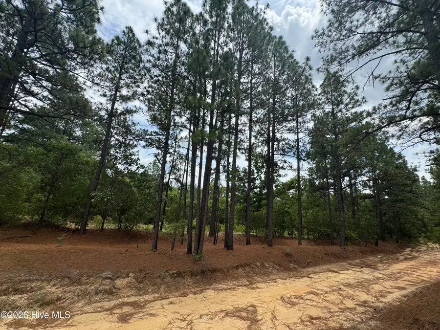 000 Lizzie Jeter Lane, Cameron, NC 28326 - #2