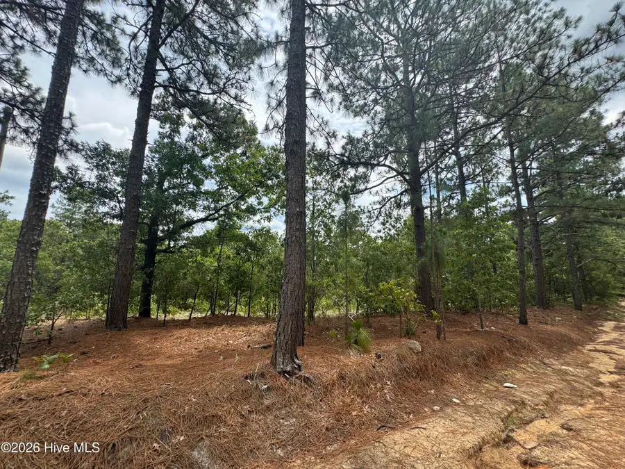 000 Lizzie Jeter Lane, Cameron, NC 28326 - #3