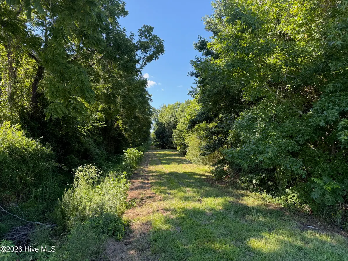 Lot #2 Hopewell Road, Edenton, NC 27932 - #1