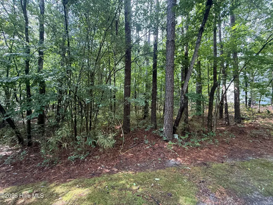 149 Hastings Road, West End, NC 27376 - #3
