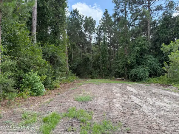Lot 98 Grays Lane, Elizabethtown, NC 28337