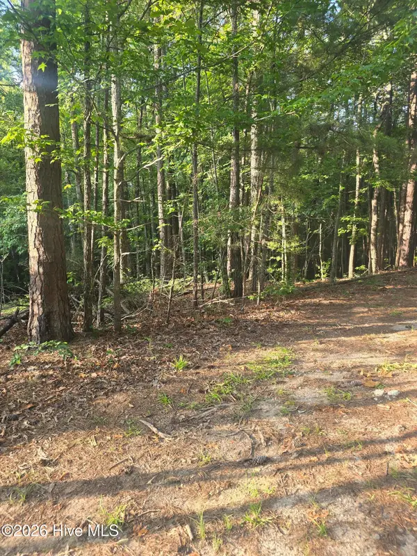 Lot 15 B1 Southwind Drive, McCormick, SC 29835
